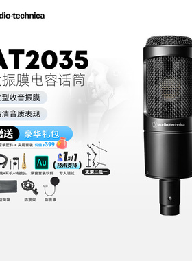 Audio Technica/铁三角 AT2035专业电容麦克风录音配音K歌唱歌