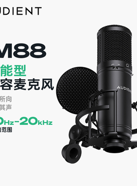 AUDIENT/奥顿特 iM88电容麦克风录音唱歌K歌直播大振膜话筒