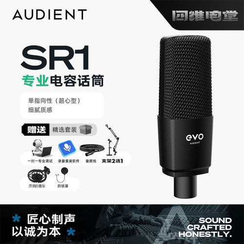 Audient专业大振膜电容麦克风