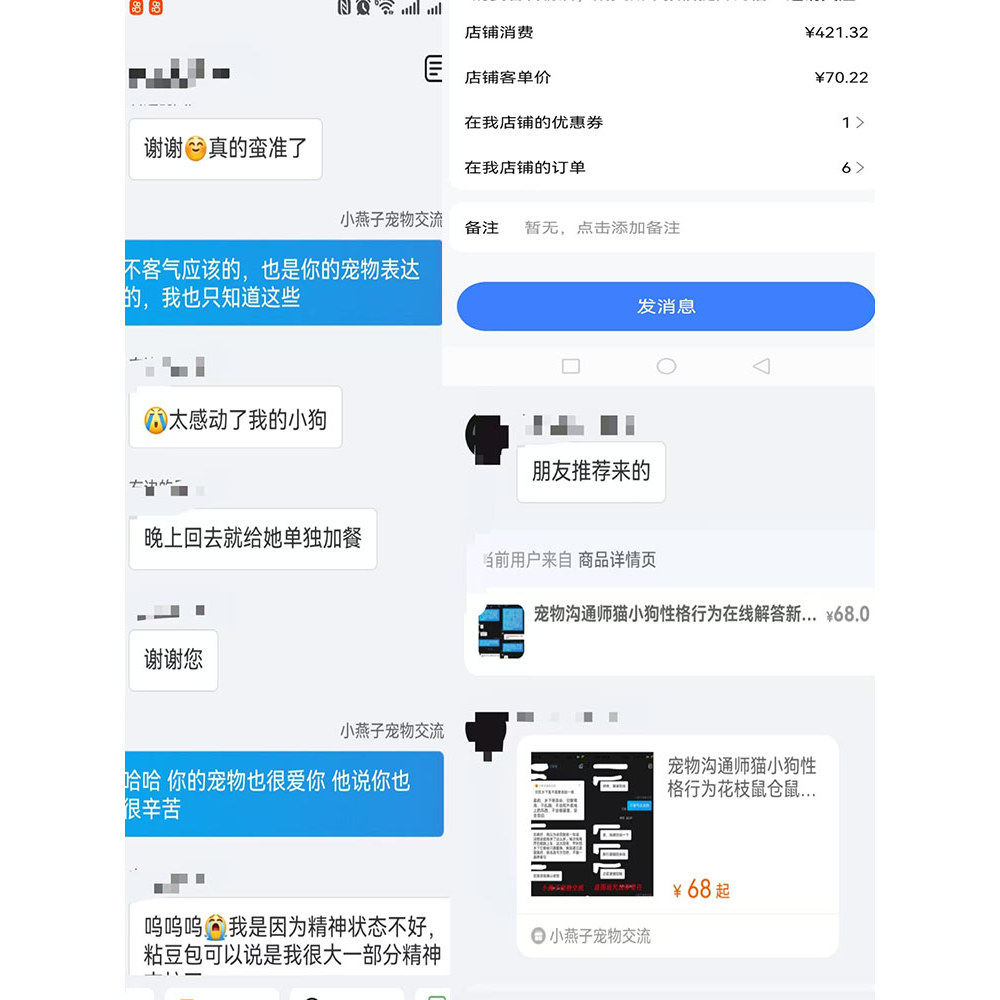 宠物沟通师宠物情绪咨询想法行为新手养宠在线人工一对一解答讲解