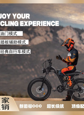 电动自行车雪地宽胎助力复古变速越野车成人长续航电瓶助力车