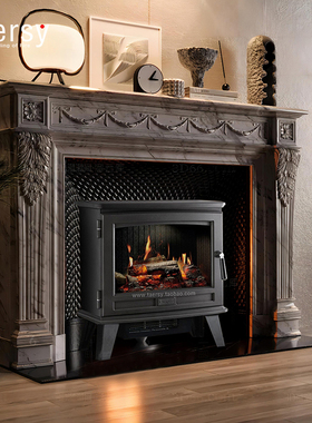 dimplex汀普莱斯爱尔兰原装进口全息投影壁炉芯 独立式投影电壁炉