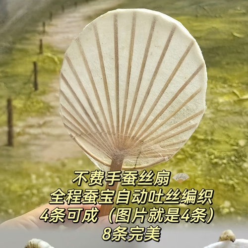 天然竹扇骨架diy蚕丝扇手