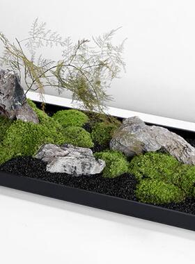 【八度空间】绿植微景观餐厅会议室茶室酒店民宿枯山水盆栽摆件