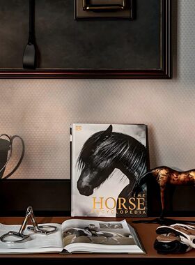 八度空间现代轻奢样板间书房桌面装饰摆件马术主题道具组合软装