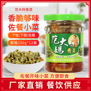 范大妈香菜 150g*3瓶贡菜罐头即食下饭菜配粥香脆开胃酱菜冷盘菜