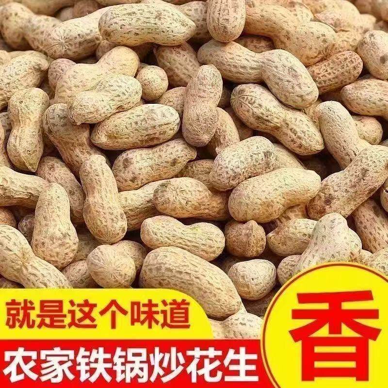 原味炒熟花生带壳生花生现炒现发新货晒干花生带壳铁锅炒花生