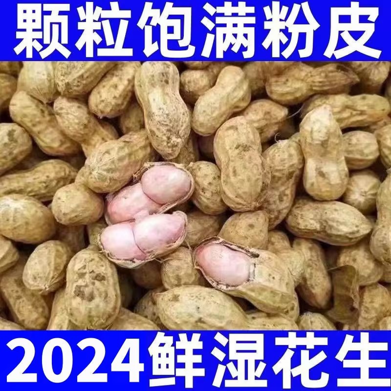 2024年现挖新鲜花生湿3斤带壳泥花生农家自种粉红皮5斤可水煮1斤-封面