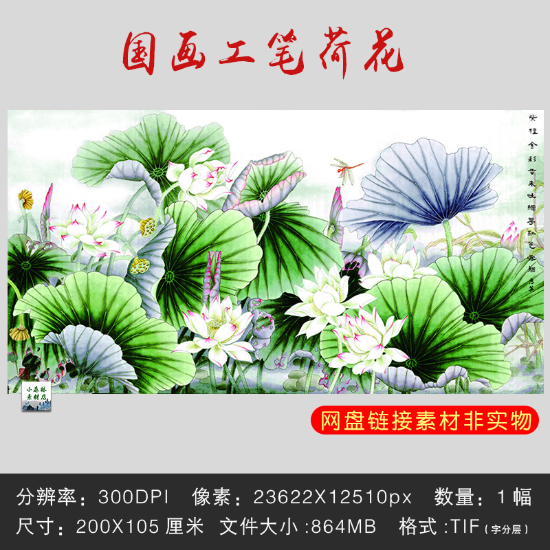 国画工笔荷花碧叶连天中国风无框画装饰画挂画电子版图片素材TIF图片