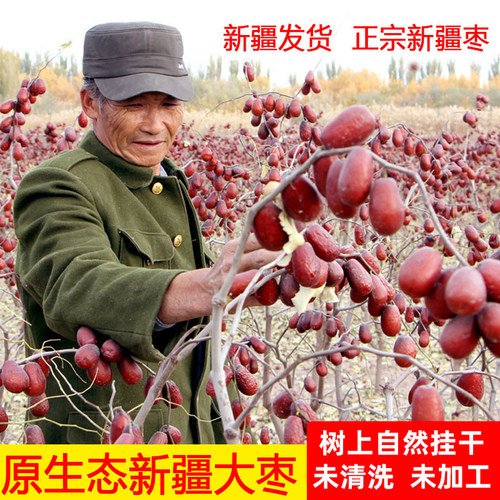 原生态大枣新疆红枣未清洗带灰土风干枣2500g散装大果和田大枣