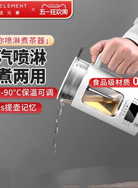 生活元素养生壶办公室玻璃小型烧水多功能保温烧水壶养生杯煮茶壶