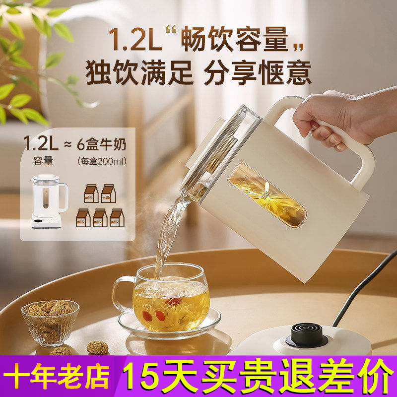 印趣养生壶多功能小型烧水壶110V美国日本加拿大出口家用花茶壶