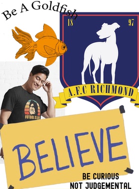 足球教练泰德拉索Ted Lasso乜都得周边短袖T恤美剧横幅杰米塔特