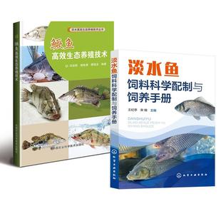 鳜鱼高效生态养殖技术 淡水鱼饲料科学配制与饲养手册 水产高效健康养殖书养鱼大全书鱼病防治书鳜鱼高效生态养殖新技术 全2册