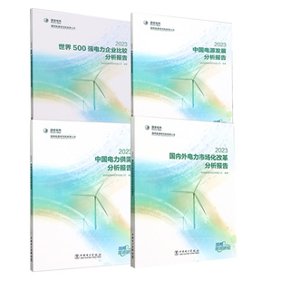 中国电源发展分析报告国内外电力市场化改革分析报告中国电力供需分析报告世界500强电力企业比较分析报告2023 全4册