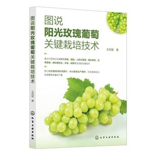 社9787122466839正版 化学工业出版 书籍 王尚堃 图说阳光玫瑰葡萄关键栽培技术