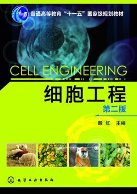 正版书籍 细胞工程殷红 教材  本科 专科教材 理学9787122168733化学工业出版社