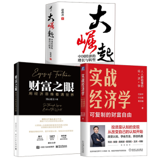财富自由任泽平著大崛起中国经济 实战经济学可以复制 增长与转型赵燕菁财富之眼用经济思维看清世界汤山老王金融书籍 全3册