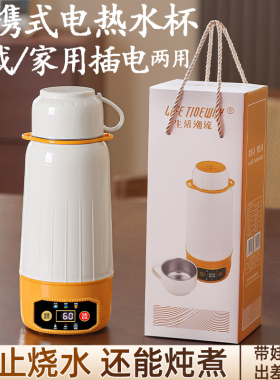 烧水杯车载家用两用便携电热水杯