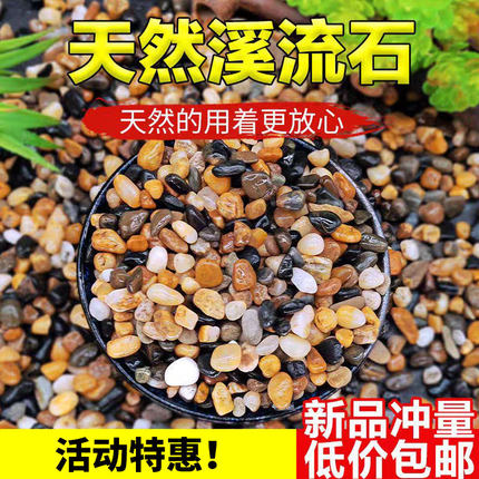 天然溪流石鹅卵石水族鱼缸水草多肉铺地面小石子原生河沙豆石