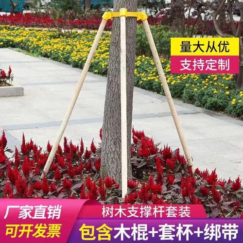 树木支撑固定器支撑架杆杉木松木杨木棍园林绿化防风工程稳定支架