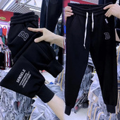 新款 加绒加厚卫裤 女高腰保暖休闲运动裤 冬季 黑色显瘦束脚哈伦长裤