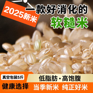 有机糙米2025年新米正品官方旗舰店越光杂粮玄米胚芽保留低脂