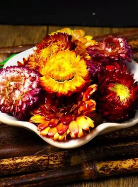 100朵自然七彩真干花雏菊多品种diy材料包装饰相框幼儿园手工制作