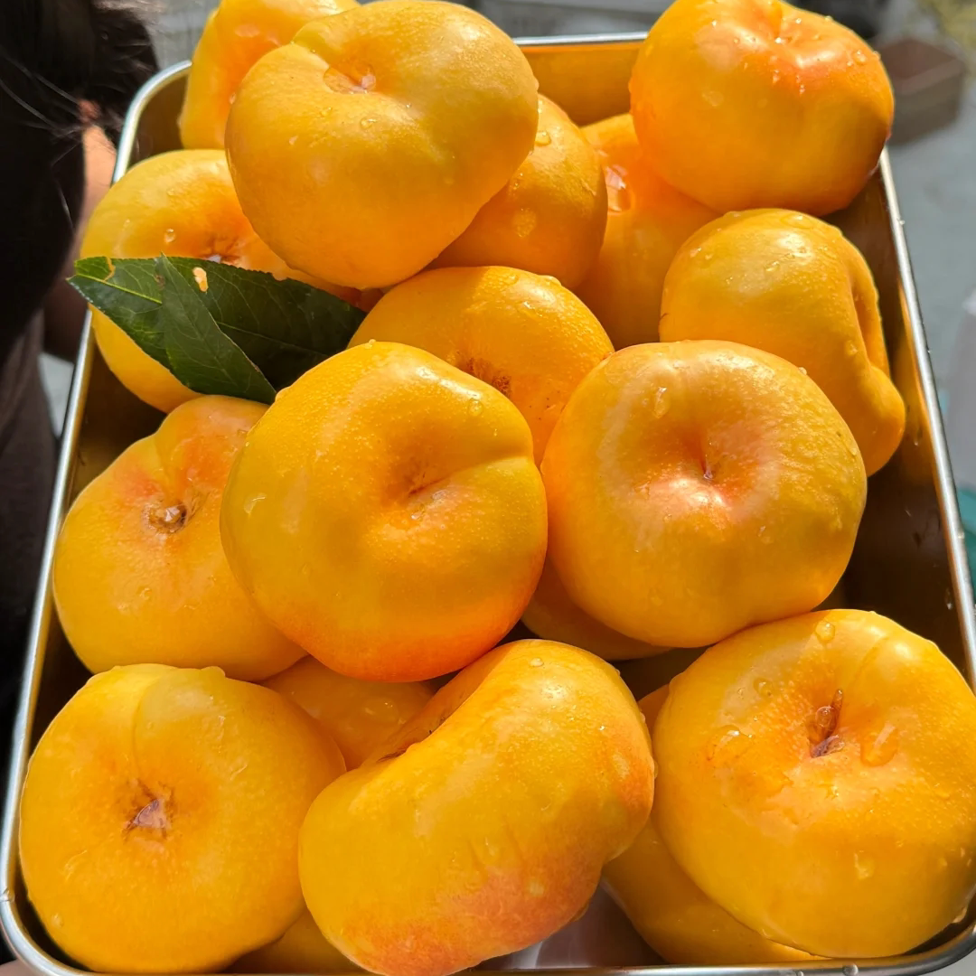 2025年头茬黄油蟠桃彩虹油蟠桃