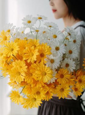 仿真花小清新雏菊ins风小碎花