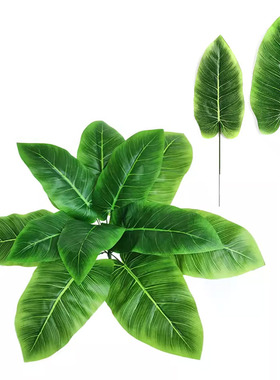 仿真叶子 美人蕉 绿色叶子婚庆婚礼装饰 芭蕉叶 幼儿园植物角花艺