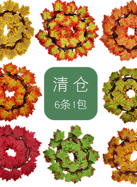 秋色幼儿园植物角花藤假树叶