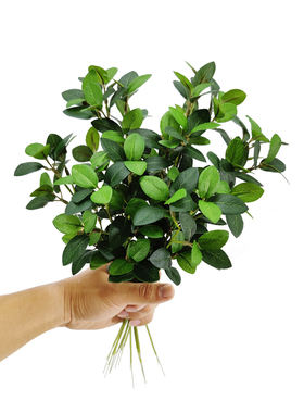仿真绿植北欧简约装饰插花富贵榕