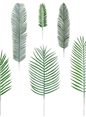 仿真绿色叶子 散尾葵棕榈叶松枝叶婚庆气球装扮 森系树叶装饰绿植