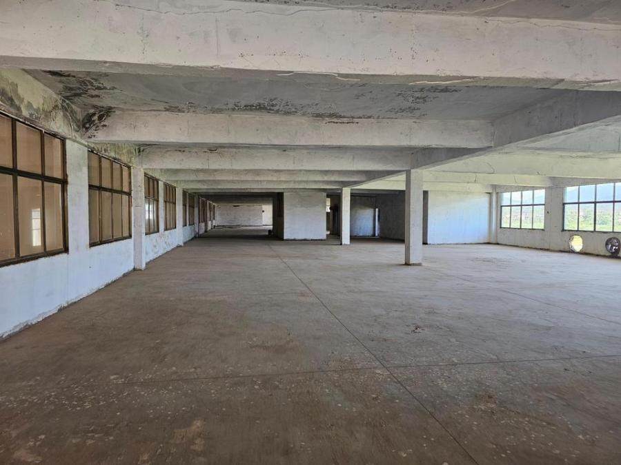 1月20日抚州新能源公司名下的厂房、土地及附属设施网络拍卖公告