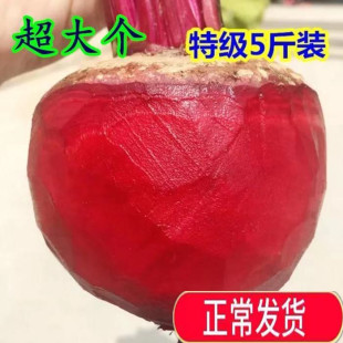 2025五斤装特级有机肥种植农产新鲜甜菜根紫菜头榨汁甜菜头红菜头