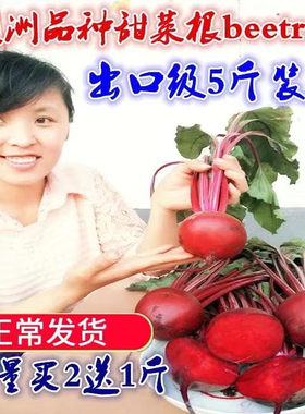 2026年新鲜现挖原生态有机肥种植红甜菜根打汁红菜头5斤装包邮