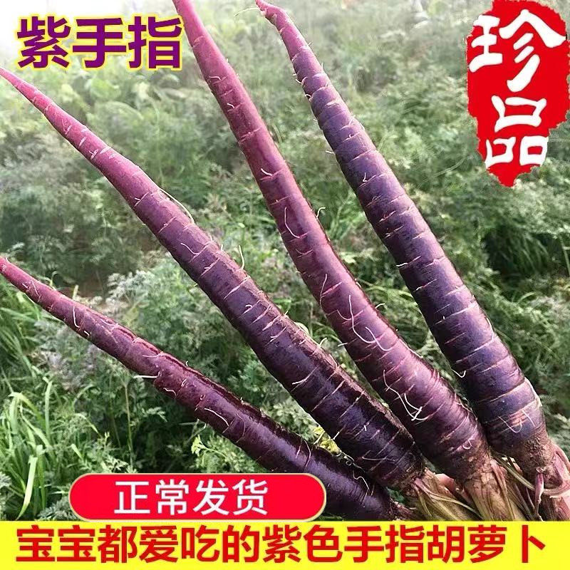 2025新鲜现挖紫色胡萝卜迷你小手指花青素水果黑胡萝卜紫玉3斤装,水产肉类/新鲜蔬果/熟食,其它,淘宝优惠券,粉丝福利购,淘宝优惠卷