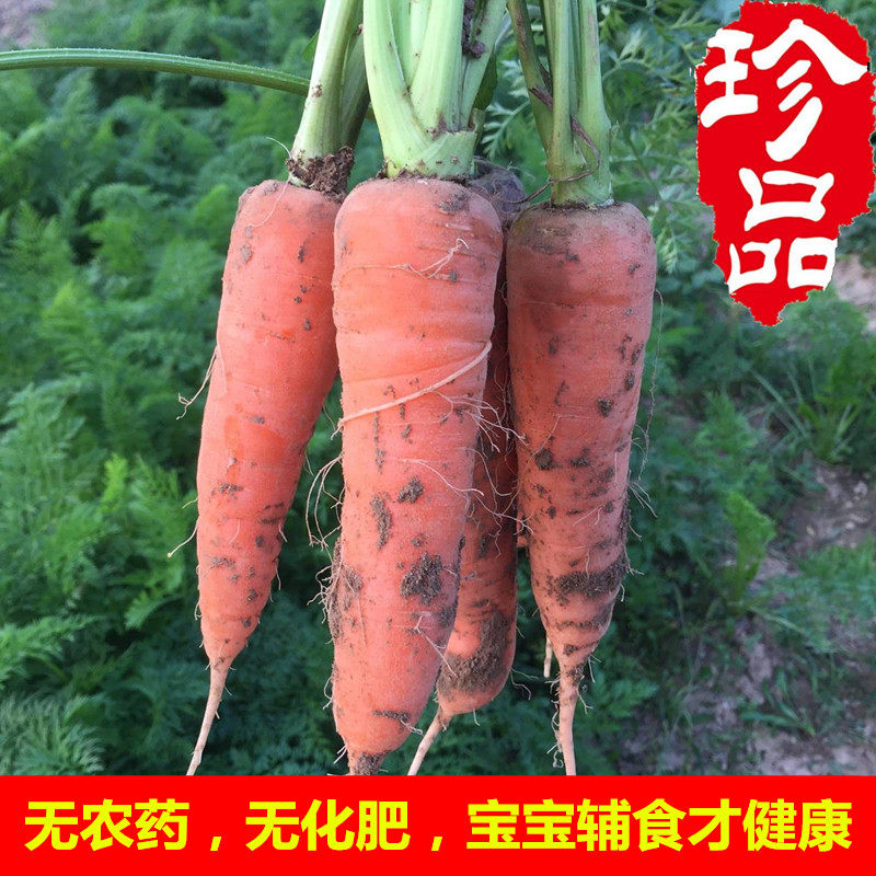 【5斤装包邮】新鲜胡萝卜带泥红萝卜农家原生态新鲜蔬菜宝宝辅食