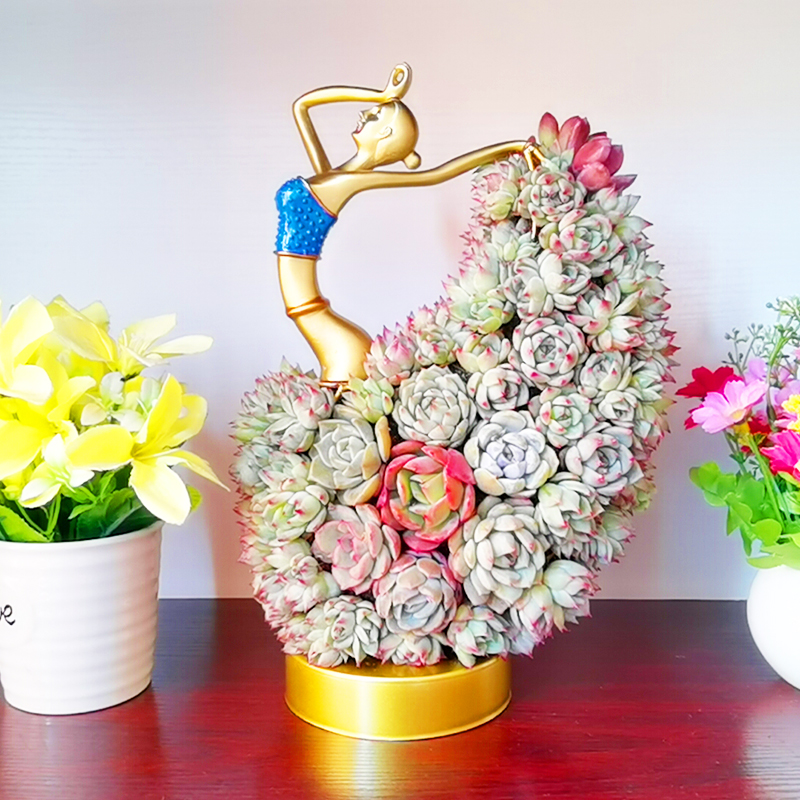 多肉创意造型艺术花器新品上市