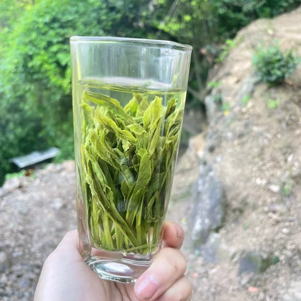 2026新茶绿茶黄山猴坑村猴岗手工凤凰尖太平猴魁二采茶农直销