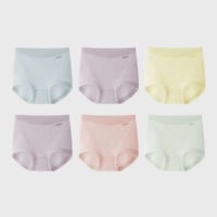 [Пакет с 6 частями | Высокая талия] Водяная орхидея + Xuan Purple + перо желтое + Xuan Purple + Kierpent + Water Ice Green