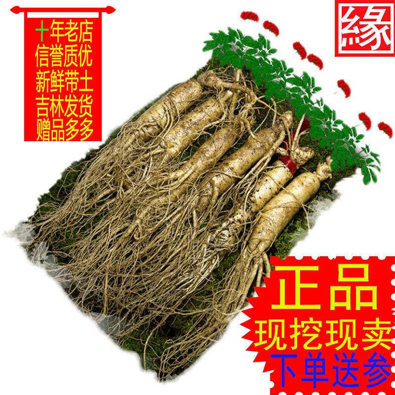 新鲜人参长白山带土新挖东北人叁有林下活参苗野山参切片500g包邮
