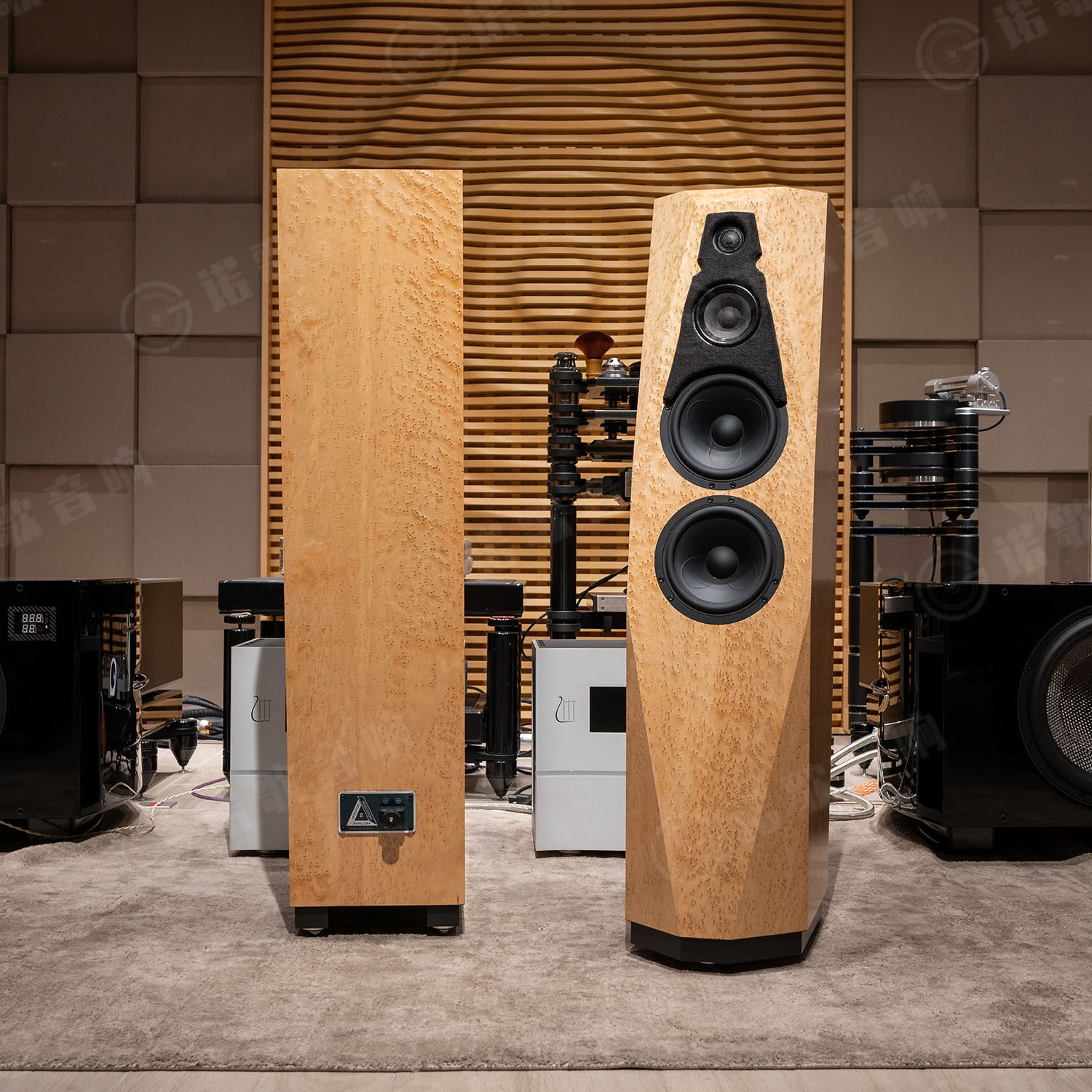 美国 Avalon 盟主 PM2.2 落地音箱喇叭发烧音箱hifi音响