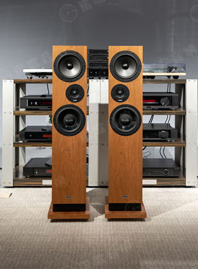 英国 ProAc 贵族 DT8 落地箱音箱喇叭hifi发烧