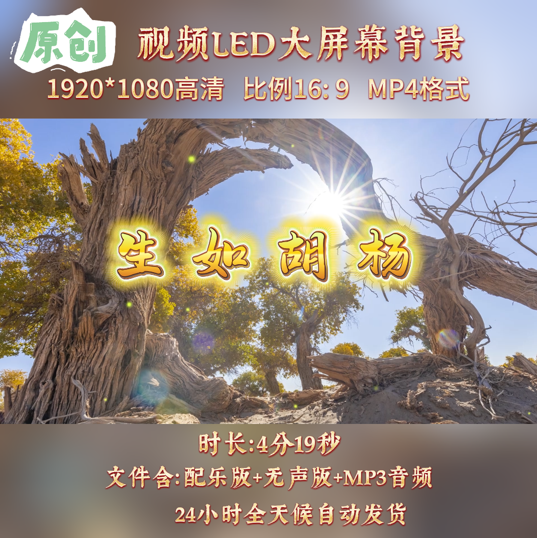 原创视频&mdash;生如胡杨 励志散文诗歌朗诵led大屏幕背景视频