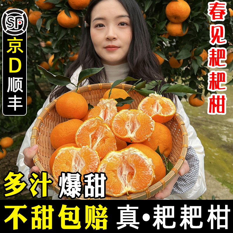 正宗四川耙耙柑春见粑粑柑10斤橘子应季水果新鲜当季整箱丑柑桔子