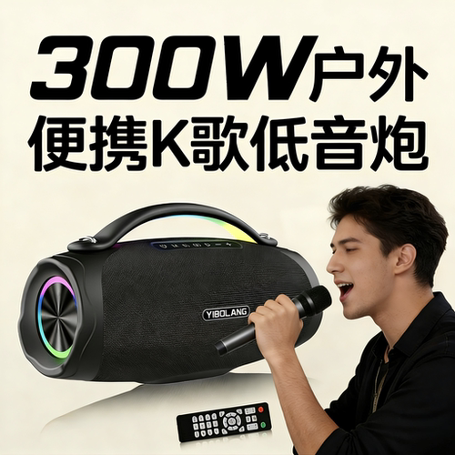 德国日本进口技术意博朗v95无线蓝牙音箱室内户外直播k歌直播音响