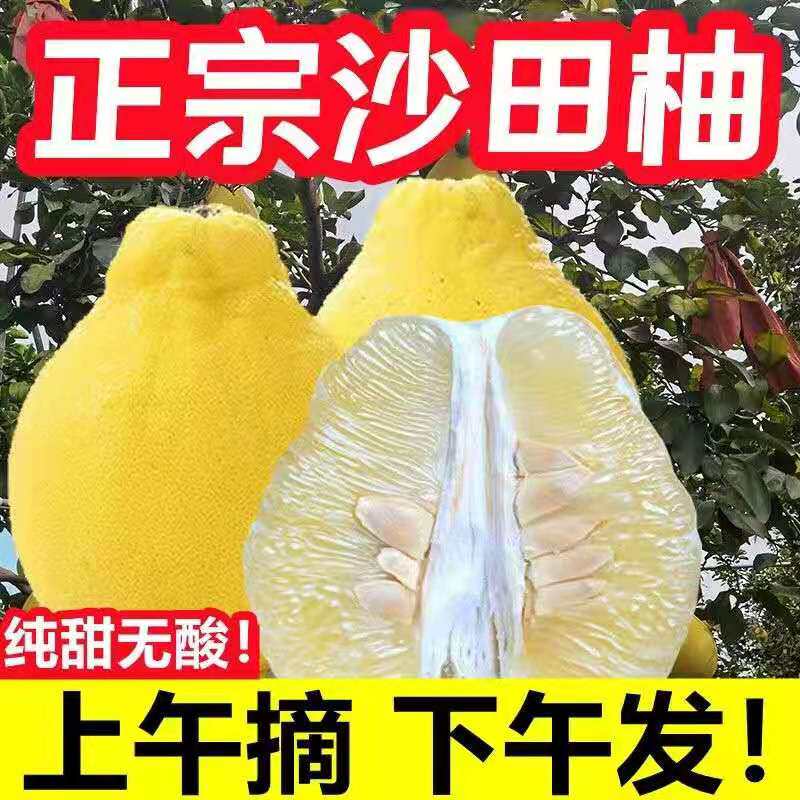 广西正宗容县沙田柚新鲜特产当季时令孕妇白肉纯甜柚子水果包邮