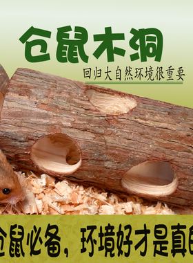 仓鼠笼子玩具金丝熊笼子豚鼠荷兰猪木洞造景解闷打洞隧道迷宫躲避